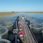 environmental services14